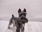 Vintage Shafford Schnauzer Dog Porcelain Figurine 7  Tall Glossy Finish  160
