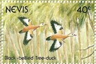 Birds Nevis Scott  664 Vf Mint Never Hinged Miniature Sheet 1991 Birds 