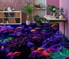3d Purple Coral Fish G5261 Floor Wallpaper Murals Wall Print Decal Aj Coco 2024