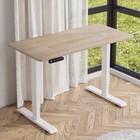 Modernchamp 48  Height Adjustable Standing Desk-20w Type-c Fast Charging Port