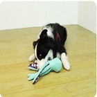 Squeaky Plush Octopus Dog Toy Durable Interactive Chew Toy Teeth Cleaning Green
