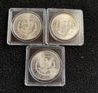 Lot Of   3  1882-1884 Cc Morgan Dollar Brilliant Uncirculated Usa Shipping    