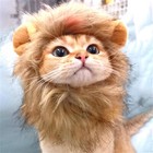 Cute Lion Mane Cat Wig Small Dog Cats Costume Lion Mane Wig Cap Hat For Cat Dogs