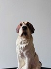 Vintage Saint Bernard Dog Porcelain Figurine Japan Made Height 7 