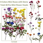 8 Types Real Dried Pressed Rose Flowers Plant Herbarium For Craft Resin Jewelry 