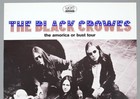 The Black Crowes     Rare Original Hamburg 1995 Concert Poster   amorica  