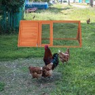 Wood Tortoise House Turtle Habitat Indoor Tortoises Enclosure Reptile Cage