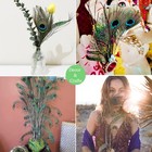 Natural Peacock Sword Feathers Ornaments 12-14   For Hat Diy Arts Wedding  50pc