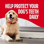 Milk-bone Brushing Chews Daily Chicken Dental Dog Treats Large Peppermint