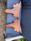 Pair Of Hand Carved Wood Corbels In Mahogany 