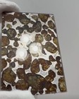 Sericho Pallasite Meteorite Pendant Olive Iron Meteorite - From Kenya Necklace