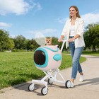 4 Wheels Pet Stroller For Small Dog And Cat  Folding 42l Detachable Pet Carrier