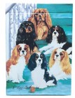 Best Friends By Ruth Maystead Cavalier King Charles Spaniel 52 Playing Cards Set
