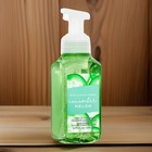 Lot Of 3 Bath Body Works Cucumber Melon Gentle Foaming Hand Soap Classic New    