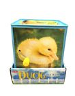 Schylling Duck Jack In The Box Ages 18 Months   - Brand New  
