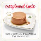 Purina  Tender Beef And Chicken Feast Classic Grain Free Wet Cat Food Pate -  pa