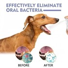 Pet Oral Spray Teeth Cleaning For Dogs   Cats Bad Breath Tartar Plaque Removal