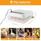 64 Eggs Incubator Digital Automatic Turning Hatcher Chicken Temperature Control