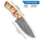 Damascus Hunting Fixed Blade Handmade Knife With Leather Sheath  Ram Horn Handle