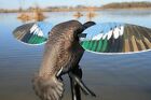 Mojo Outdoors Elite Series Duck Hunting Motion Decoy  Blue Wing Teal  new 
