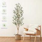 6ft Artificial Olive Tree With Fruits  Faux Potted Plant For Home   Office Decor