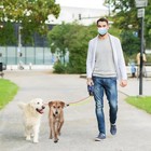 Double Dog Retractable Leash   360   Tangle-free Dual Lead led Light   Waste Bag