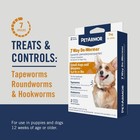 Petarmor 7 Way De-wormer Insect Treatment For Small Dogs And Puppies 2 Chews