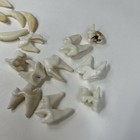 Lot Of 20 Real Coyote Fangs Molars Teeth Taxidermy Art Weird Odd Unqiue   2188