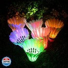 Inngree Led Shuttlecock Badminton   6 Pack  6 Color Shuttlecock Dark Night Go