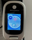 Motorola W315 Black   Silver Flip Cell Phone   Mobile Phone Car Charger