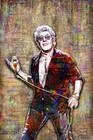 Roger Daltrey 24x36in Poster  Roger Daltrey The Who Pop Artwork Free Shipping