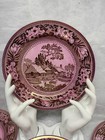 Vintage Wedgewood Fallow Deer   plum cranberry  Set Of 6 -8-inch Lunch  Plates 