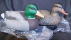 Duck Decoys New Out Of Box