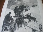  Sale  1898 Art Print - Saint Bernard Dogs As Mountain Rescue Dog St 