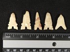 Lot Of Five  Ancient Tidikelt Arrowheads Or Atlatl Points North Africa 1 51