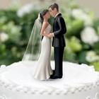 Elegant Bride And Groom Cake Topper With Veil
