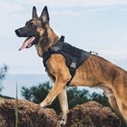 Military Tactical Dog Harness No-pull Heavy Duty Molle Training Service Dog Vest