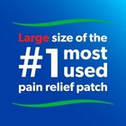 Salonpas Pain Relieving Patch  8-hour Pain Relief  20 Patches