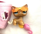 Authentic Littlest Pet Shop  1170 Shorthair Cat Lps W Accessories 