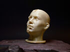 Planar Split Head  female  - Portrait Drawing Sculpting Aid