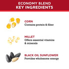 Economy Blend Wild Bird Seed With Black Oil Sunflower  20 Lb 