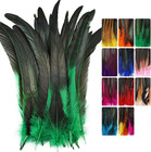 Colorful Rooster Tail Feathers-50pc 10-12inch Natural Long Rooster Tail Feathers