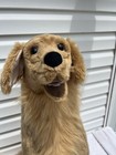 Melissa And Doug Large Dog Plush Lifelike Golden Retriever Realistic 30  Tall