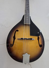 Donner Dml-1 A Style Mandolin