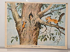 Save Nature Poster     Wild Nature Animals     Rare Soviet Poster Green Party 1984