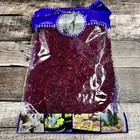 2 Super Moss 23166 Reindeer Moss Preserved Fuchsia