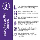 Han Ji-min  boots  Mini Size Cutout