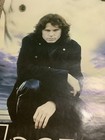 The Doors Jim Morrison Large  Door Poster Funky 62    X 21    