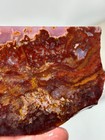 Mexican Red Moss Agate Slab Lapidary Cabbing Combo Ship Avail