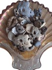 40 Natural Hag Stones  Genuine Holy Beach Stones  Craft Lot wicca pagan C